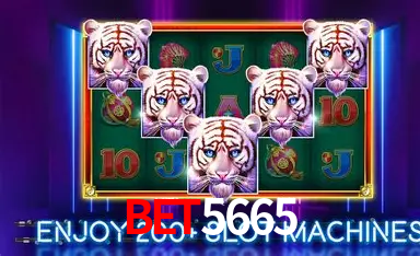 bet5665 Certificado eCOGRA